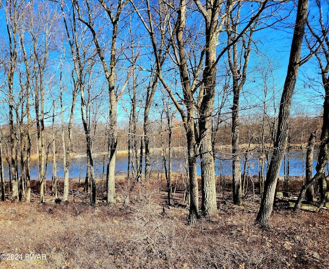 water view featuring a wooded view