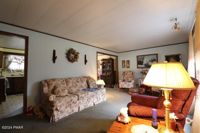 living room with carpet floors and ornamental molding