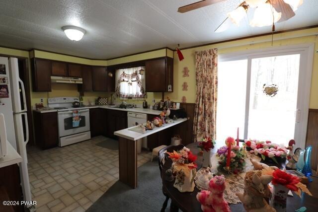 kitchen featuring dark brown cabinetry, ceiling fan, sink, a textured ceiling, and white appliances