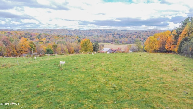 drone / aerial view featuring a rural view