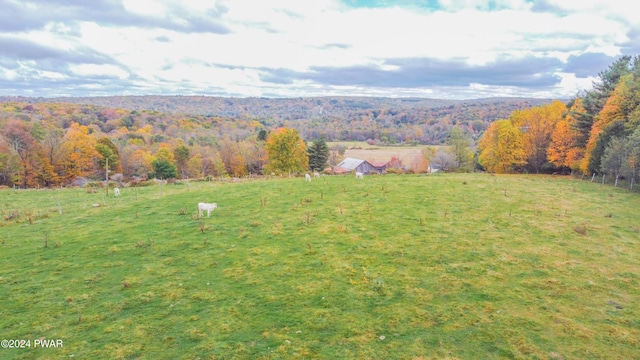 69 E Sterling Rd, Newfoundland, PA 18445 - photo 48