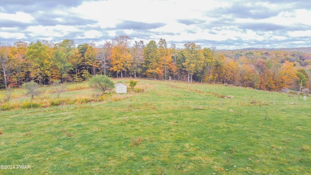 view of yard with a rural view and a storage unit