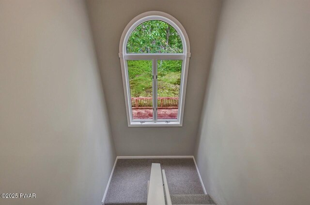 103 Goldrush Dr, Lords Valley, PA 18428 - carpeted spare room with baseboards