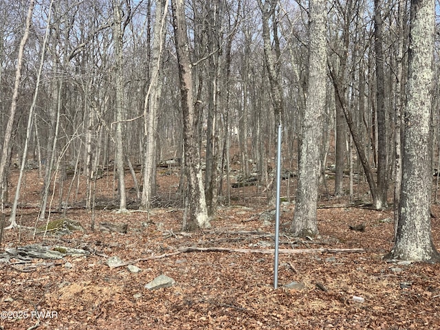 Listing photo 2 for LOT644 Woodcock Rd, Bushkill PA 18438