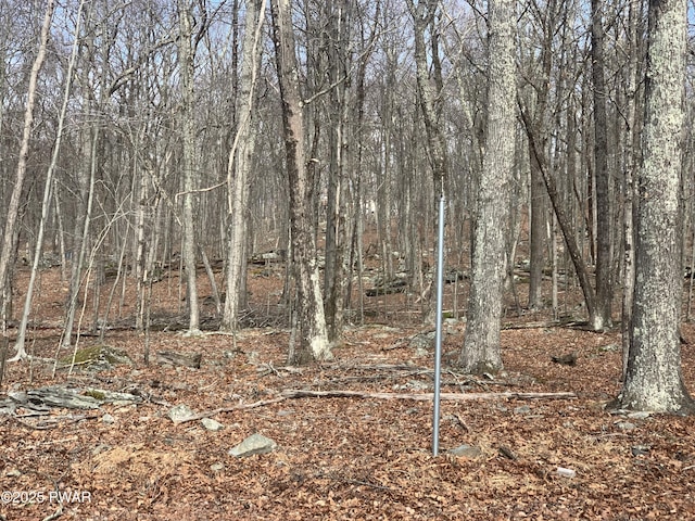 LOT644 Woodcock Rd, Bushkill, PA 18438 - photo 2