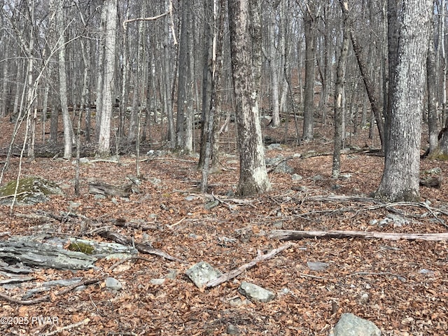 Listing photo 3 for LOT644 Woodcock Rd, Bushkill PA 18438