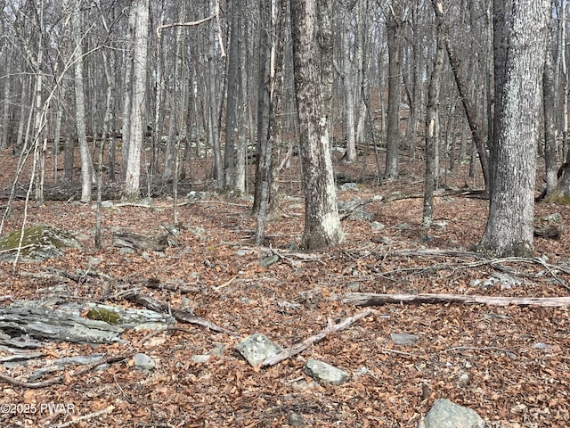 LOT644 Woodcock Rd, Bushkill, PA 18438 - photo 3