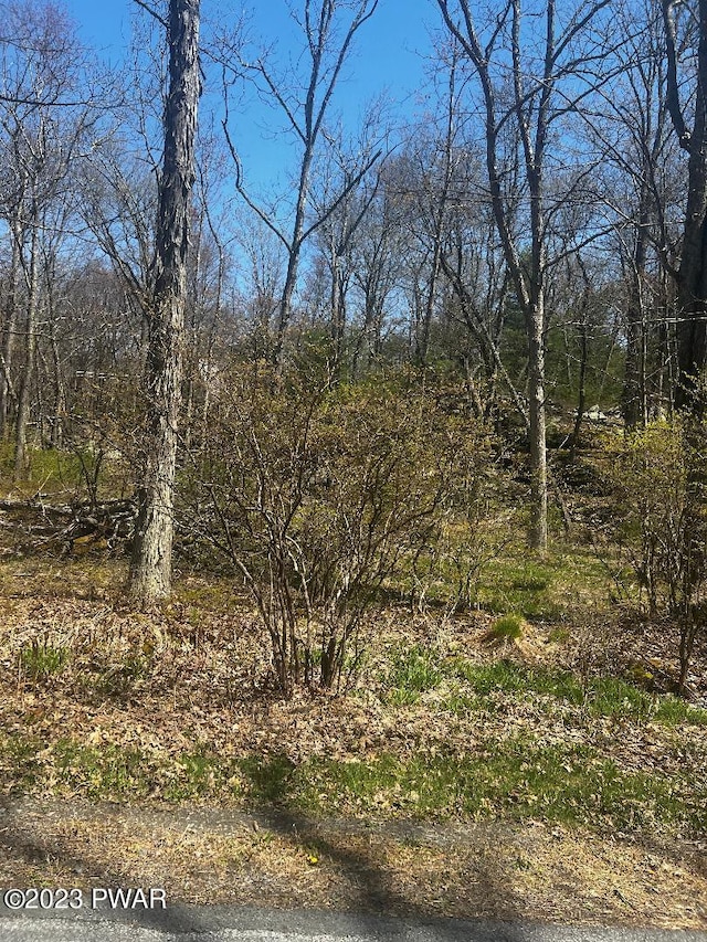 801 Wagon Ct, Lords Valley, PA 18428