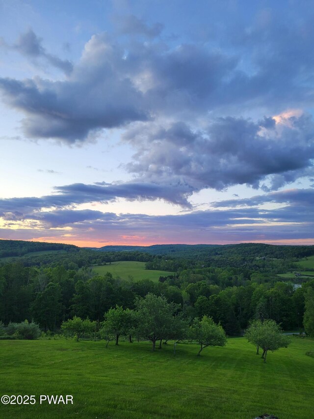 308 Valley Ridge Rd, Honesdale, PA 18431 - photo 29