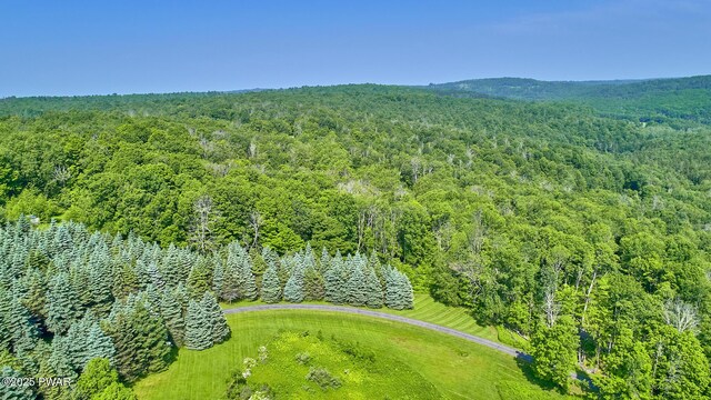 308 Valley Ridge Rd, Honesdale, PA 18431 - photo 33