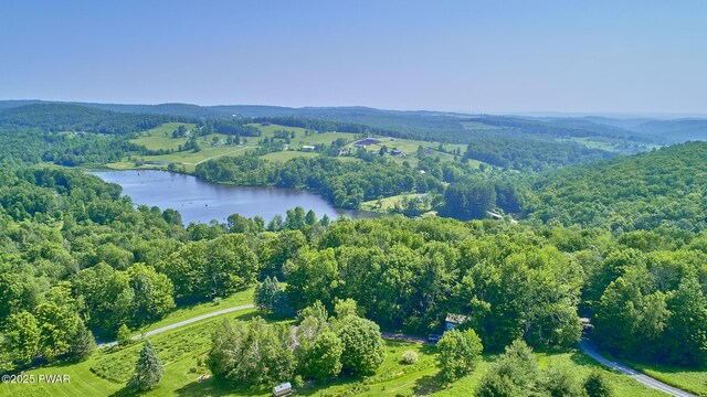 308 Valley Ridge Rd, Honesdale, PA 18431 - photo 32