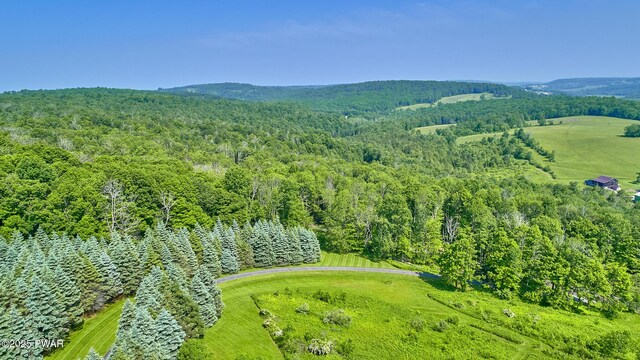 308 Valley Ridge Rd, Honesdale, PA 18431 - photo 31