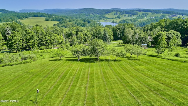308 Valley Ridge Rd, Honesdale, PA 18431 - photo 34
