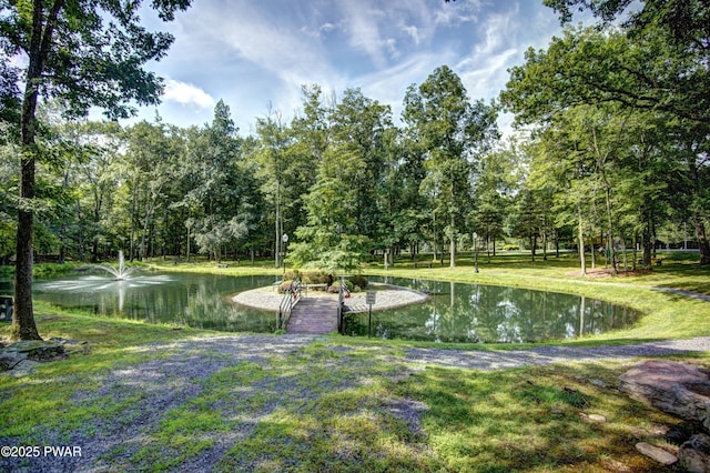 115 Rocky Rd, Lackawaxen, PA 18435 - photo 65