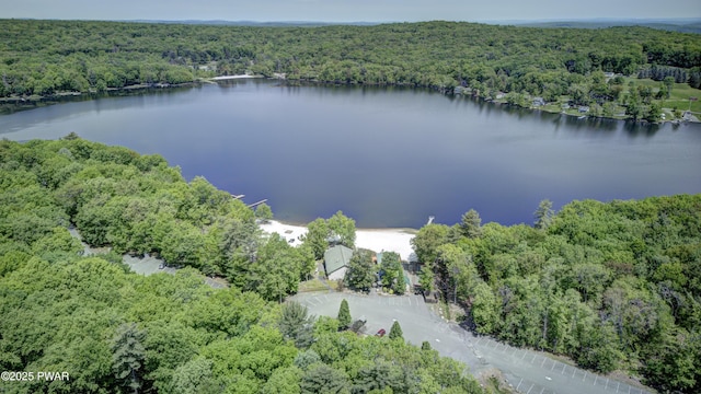 115 Rocky Rd, Lackawaxen, PA 18435 - photo 73