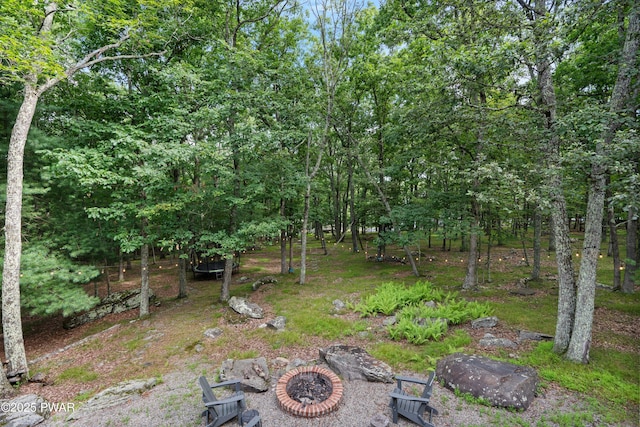 115 Rocky Rd, Lackawaxen, PA 18435 - photo 46