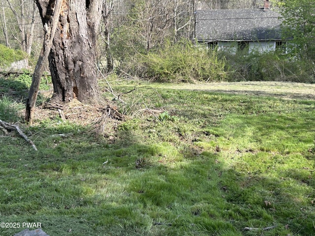 887 Maple Ave, Honesdale, PA 18431 - view of yard