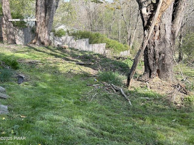 887 Maple Ave, Honesdale, PA 18431 - view of yard with fence