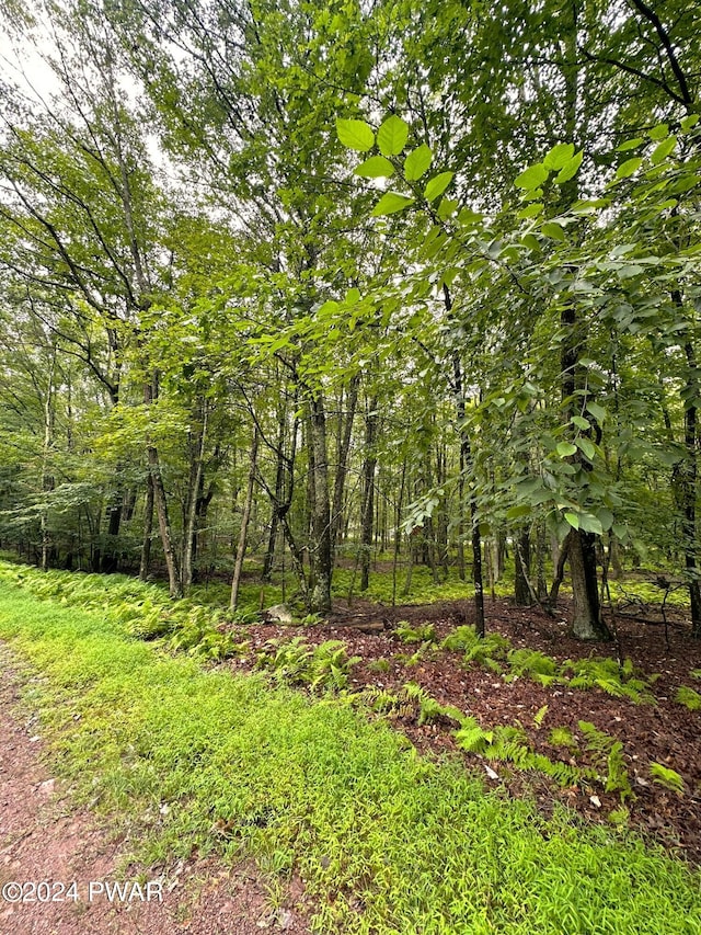 LOT214 Fawnwood Ct, Hawley, PA 18428