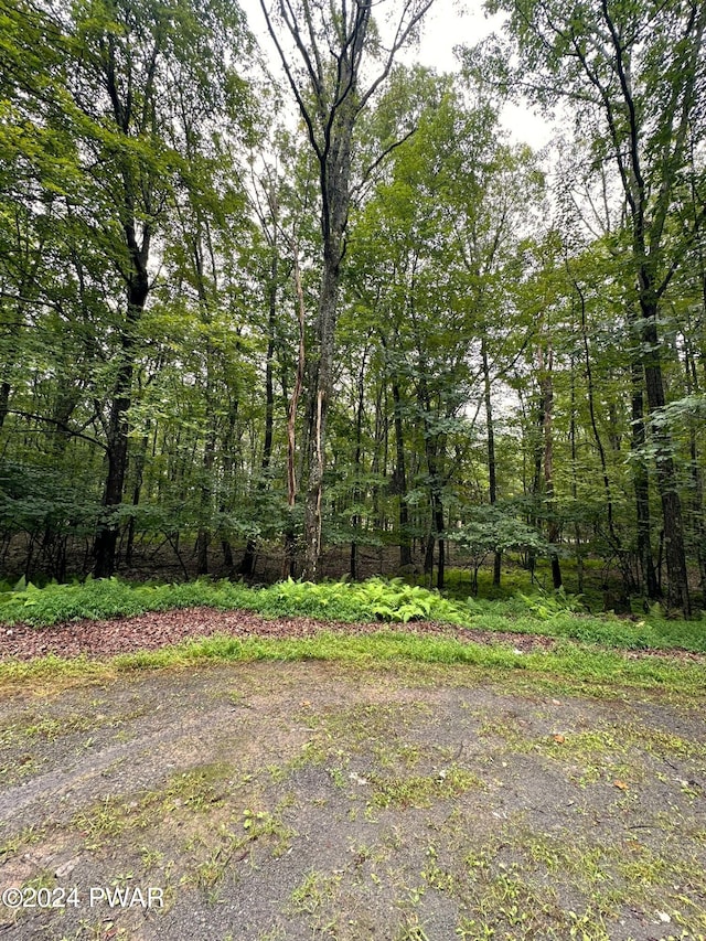 Listing photo 3 for LOT214 Fawnwood Ct, Hawley PA 18428