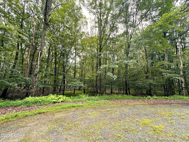 LOT214 Fawnwood Ct, Hawley, PA 18428