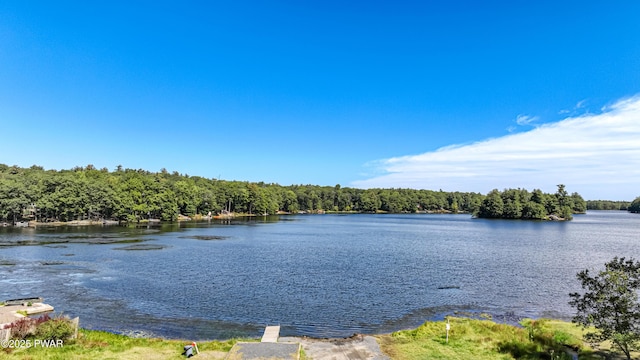 109 Glenbrook Dr, Dingmans Ferry, PA 18328 - water view with a heavily wooded area