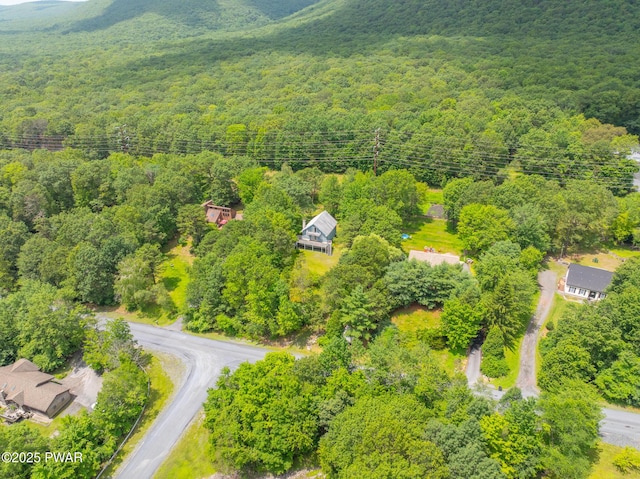 511 Overlook Ter, Stroudsburg, PA 18360 - bird's eye view of a forest