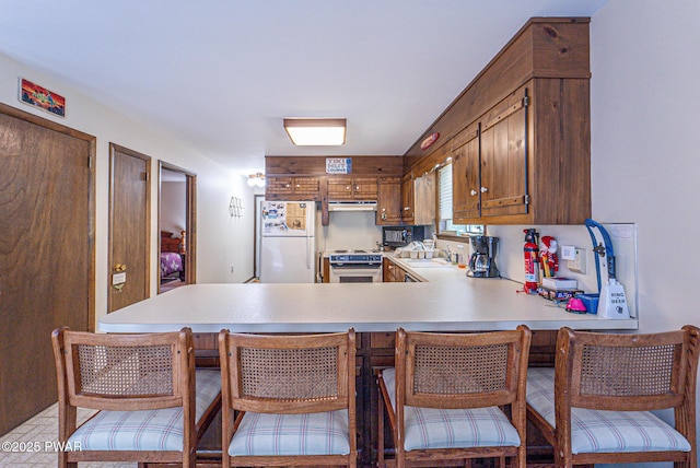 511 Overlook Ter, Stroudsburg, PA 18360 - kitchen featuring freestanding refrigerator, stainless steel range oven, a peninsula, light countertops, and under cabinet range hood