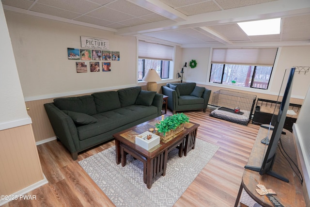 living area featuring light wood-style flooring, a drop ceiling, and wainscoting