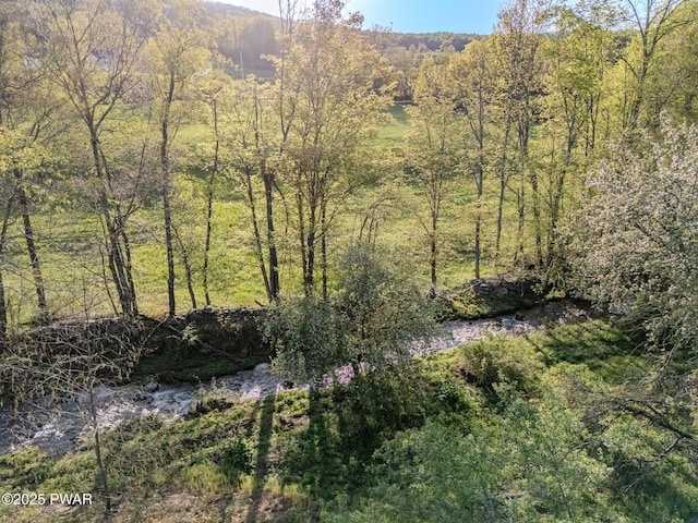 2051 Belmont Tpke, Union Dale, PA 18470 - photo 63