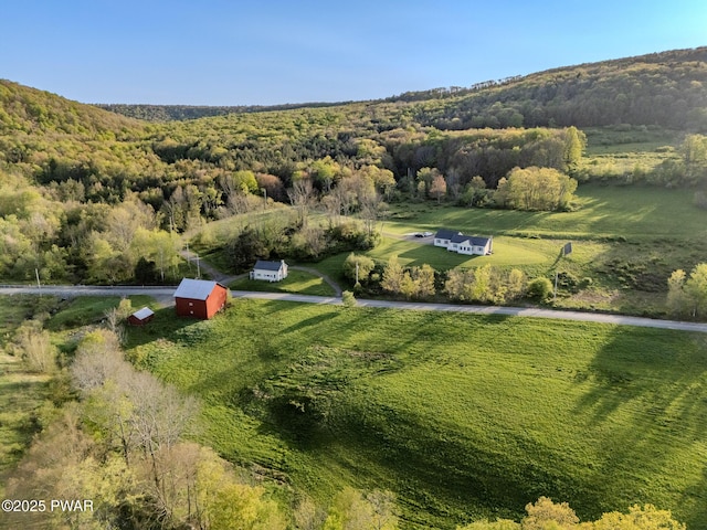 2051 Belmont Tpke, Union Dale, PA 18470 - photo 6