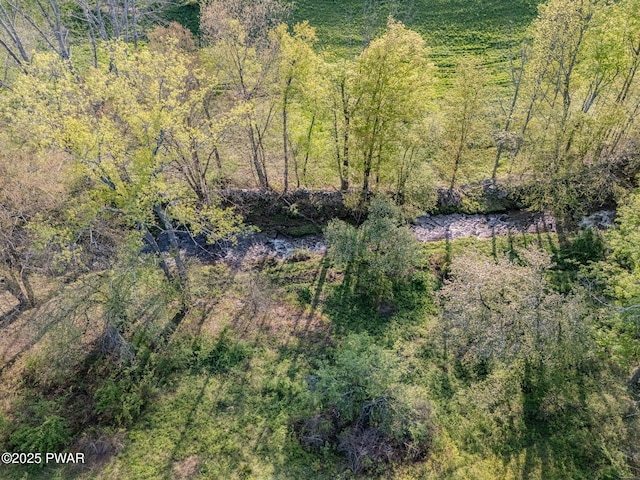 2051 Belmont Tpke, Union Dale, PA 18470 - photo 62