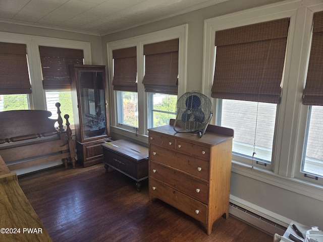 misc room with crown molding and dark hardwood / wood-style floors