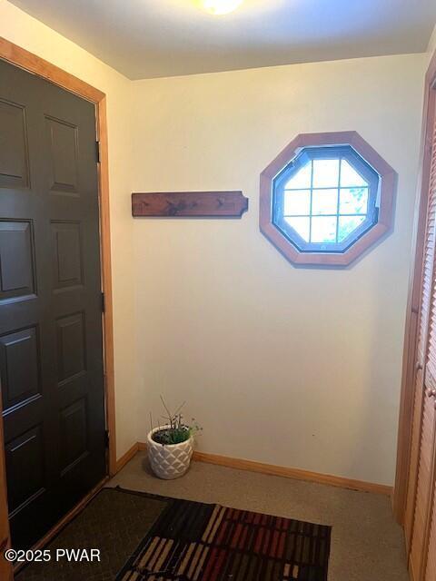 foyer featuring carpet flooring