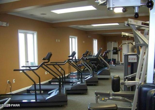 gym featuring ornamental molding and a healthy amount of sunlight