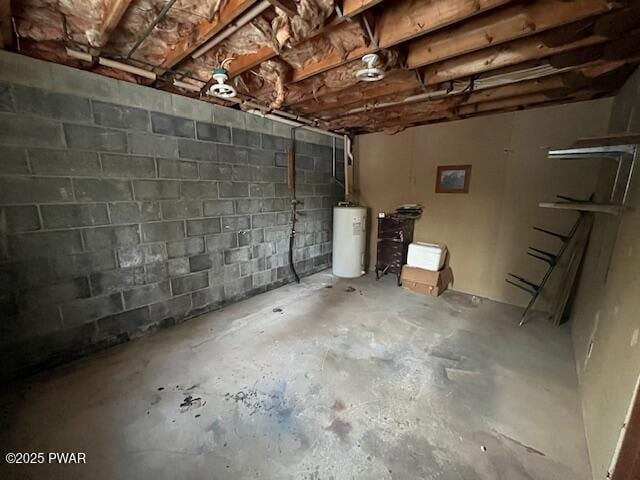 basement featuring water heater