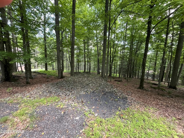 Grasshopper Ln, Greentown, PA 18426