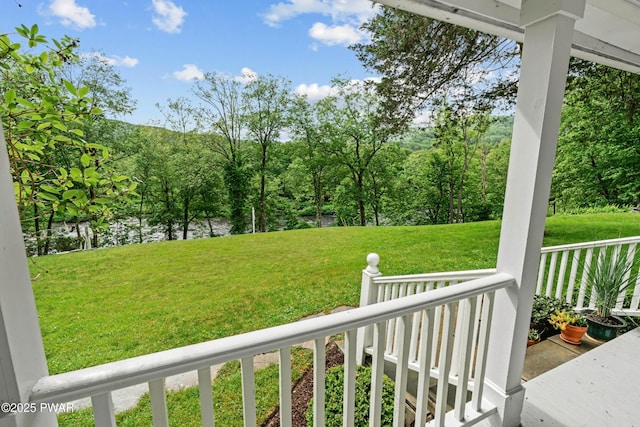 182 Lcpl Jacob Beisel Rd, Lackawaxen, PA 18435 - view of grassy yard with a porch