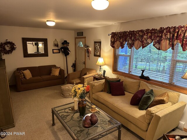 living room with carpet floors