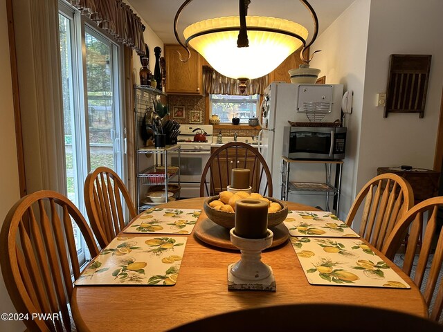 dining room featuring plenty of natural light