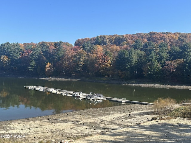 view of dock with a water view