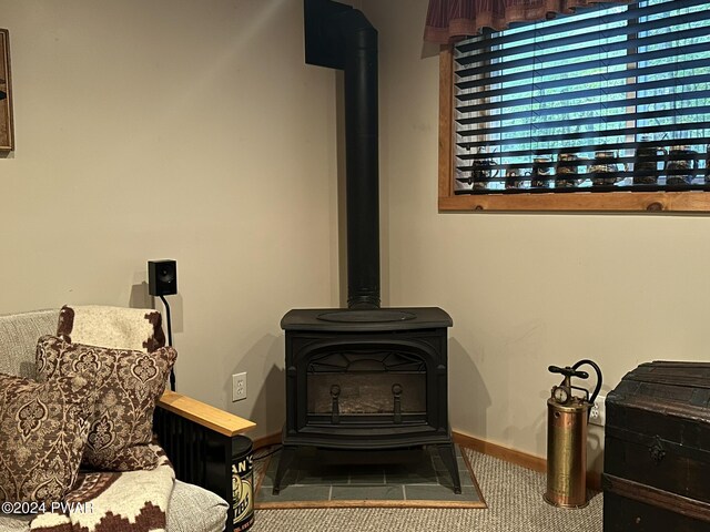 interior details with carpet and a wood stove