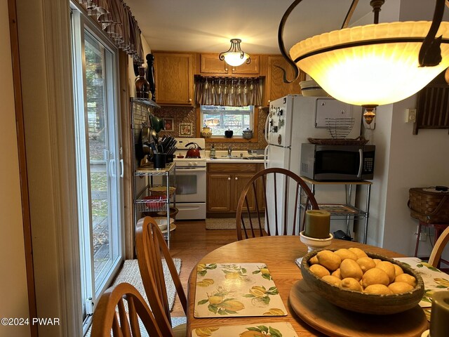 kitchen with sink, white gas range oven, dark wood-type flooring, and backsplash