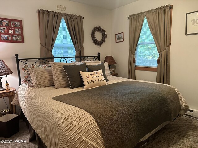 bedroom with multiple windows and carpet floors