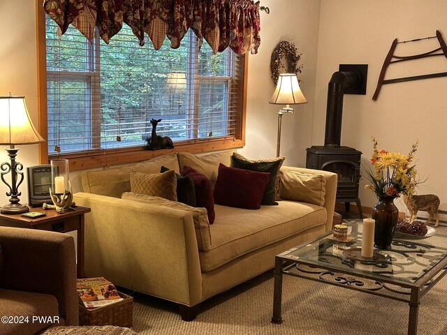 living room featuring a wood stove and a wealth of natural light