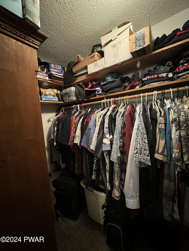 spacious closet featuring carpet flooring