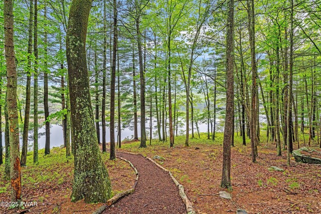 191 Water View Dr, Hawley, PA 18428 - view of yard featuring a water view