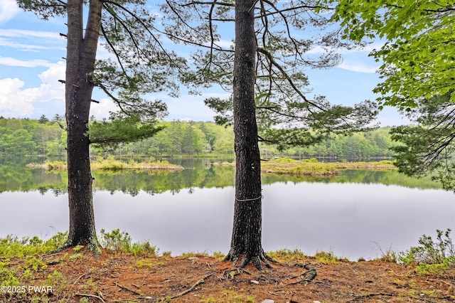 191 Water View Dr, Hawley, PA 18428 - water view with a forest