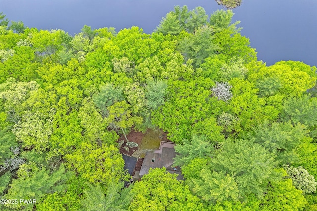 191 Water View Dr, Hawley, PA 18428 - aerial view of a forest