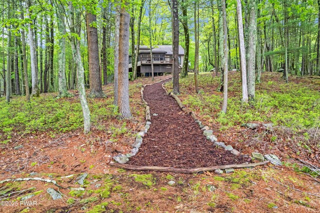 191 Water View Dr, Hawley, PA 18428 - view of yard with a wooden deck and a view of trees